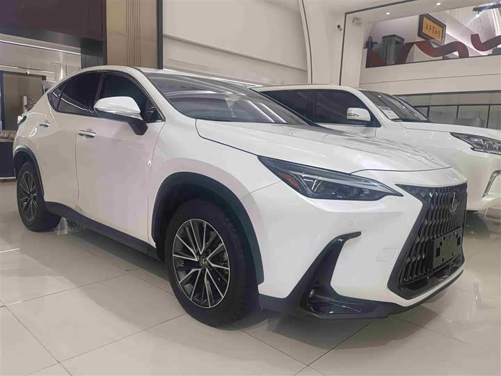 Фото 3 - Lexus NX