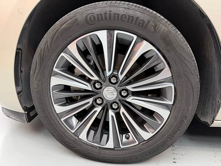 Фото 5 - Buick GL8 ES