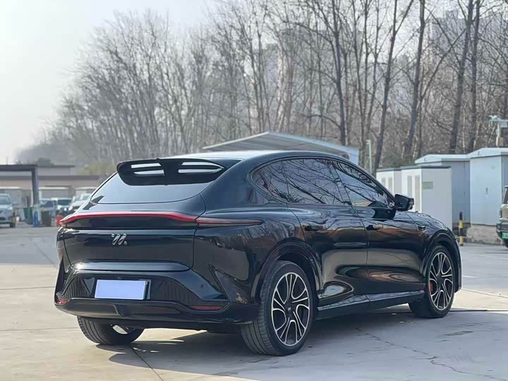 Фото 7 - IM motors LS7