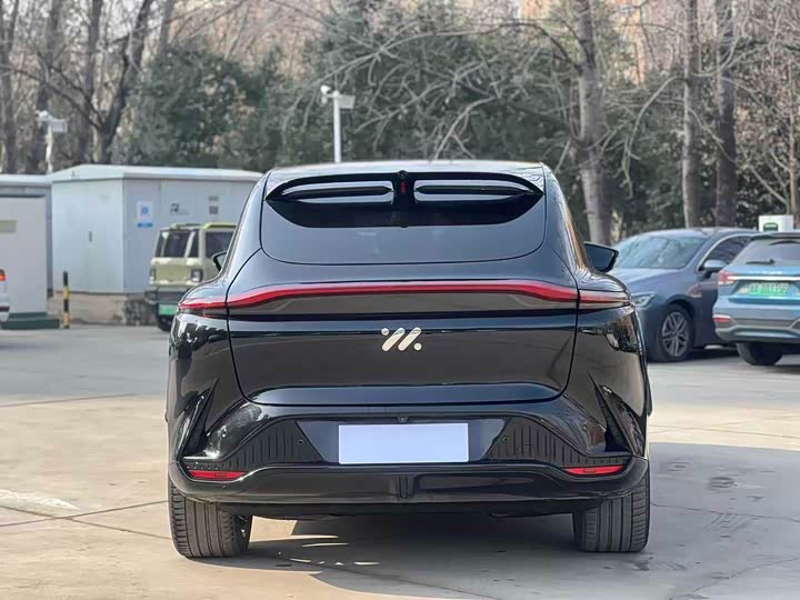 Фото 8 - IM motors LS7