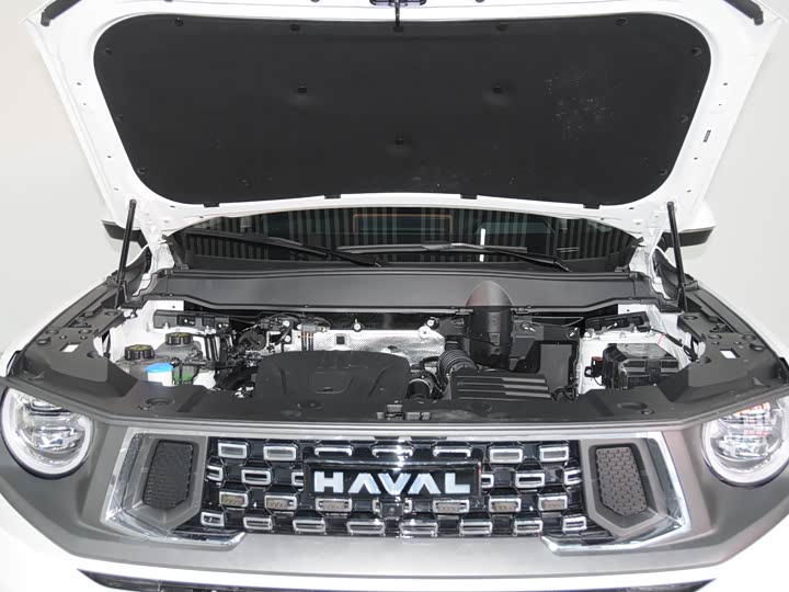Фото 5 - Haval H-Dog Hybrid