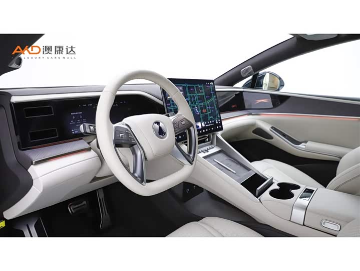 Фото 6 - Denza Z9