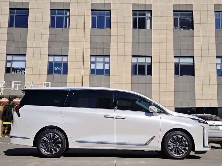 Фото 4 - Buick GL8 ES