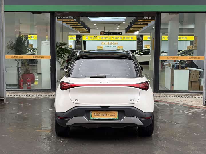 Фото 4 - Smart #1