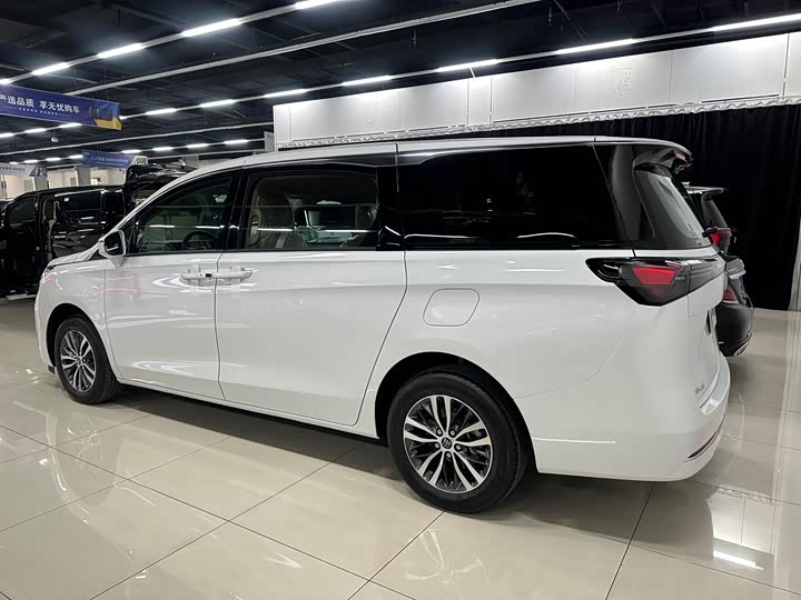 Фото 3 - Buick GL8 ES