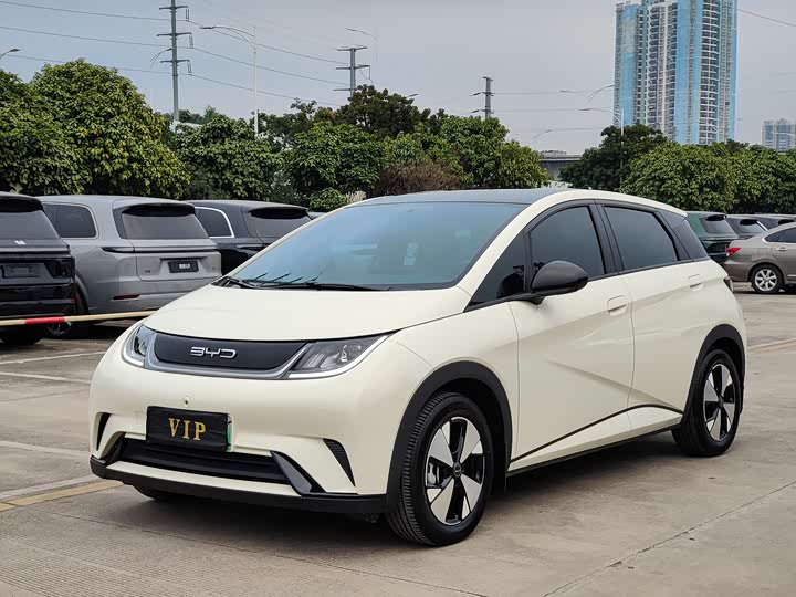 Фото 1 - BYD Dolphin