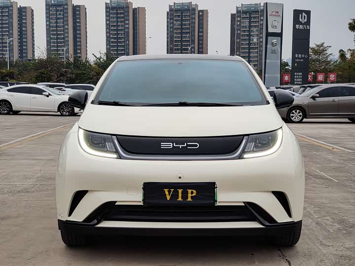 Фото 2 - BYD Dolphin