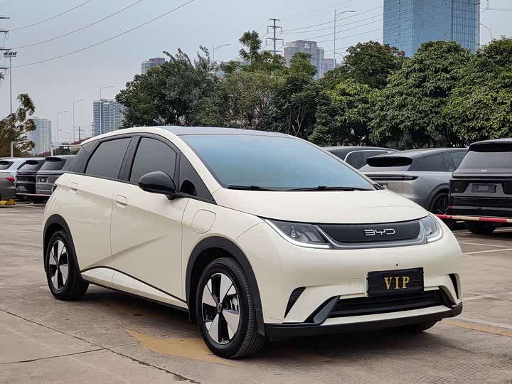 Фото 3 - BYD Dolphin