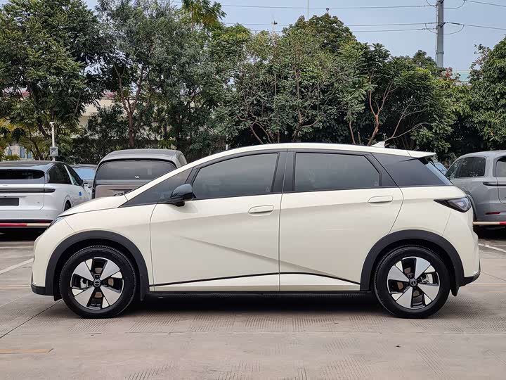 Фото 4 - BYD Dolphin