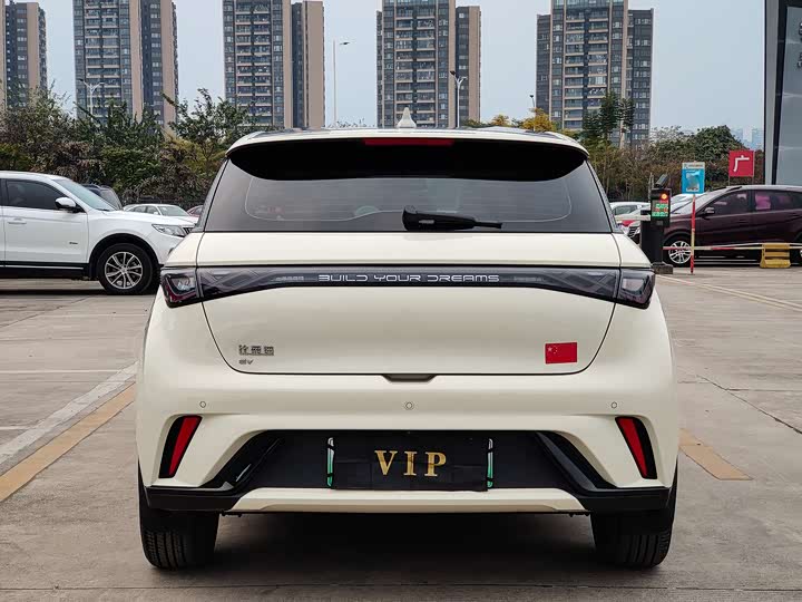 Фото 6 - BYD Dolphin