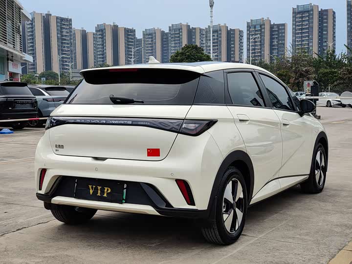 Фото 7 - BYD Dolphin