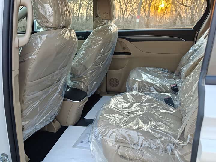 Фото 9 - Buick GL8 ES