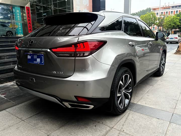 Фото 7 - Lexus RX