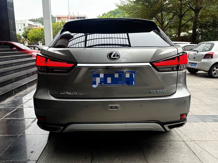 Фото 8 - Lexus RX