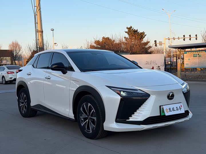 Фото 3 - Lexus RZ