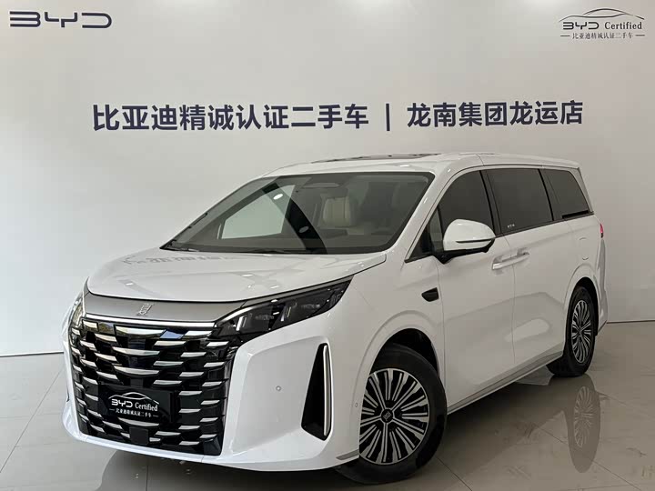 Фото 1 - BYD Xia