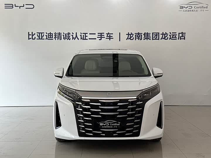 Фото 2 - BYD Xia