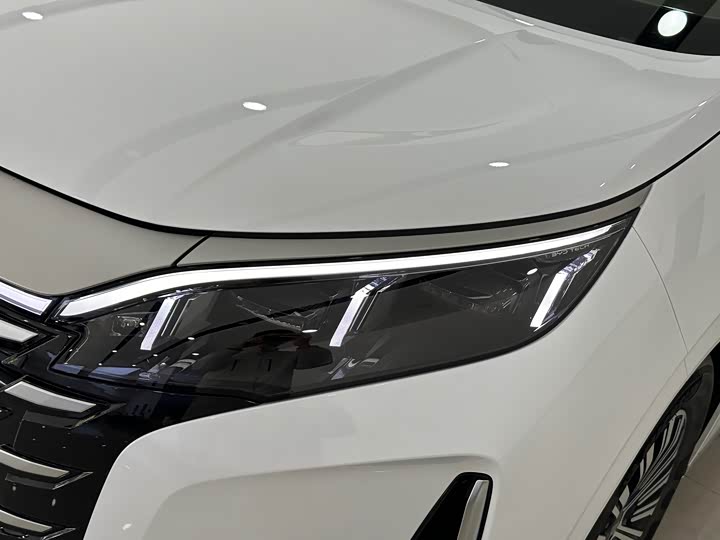 Фото 3 - BYD Xia