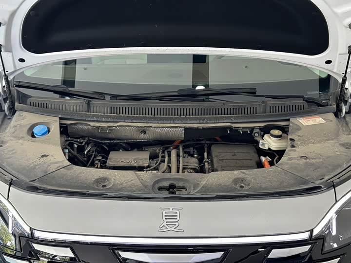 Фото 4 - BYD Xia