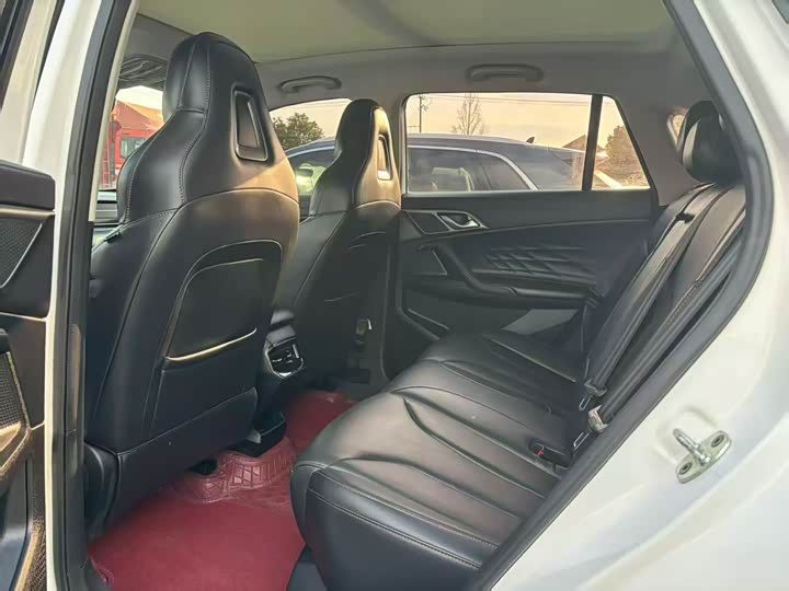 Фото 6 - Roewe RX5