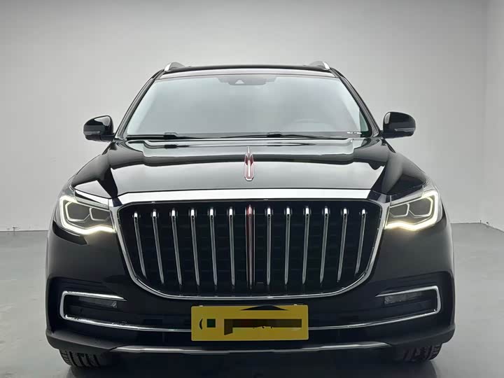 Фото 2 - Hongqi HS7