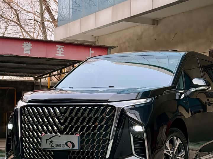 Фото 8 - Maxus G90