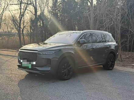 Фото 1 - LiXiang One