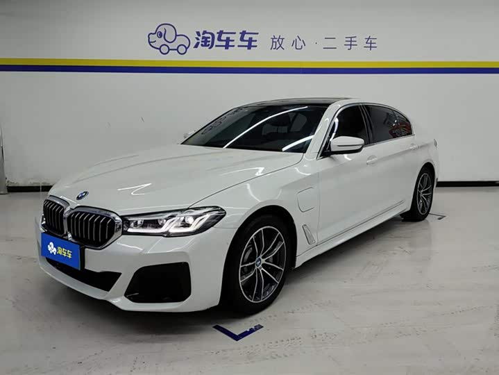 Фото 1 - BMW 5 Series Hybrid