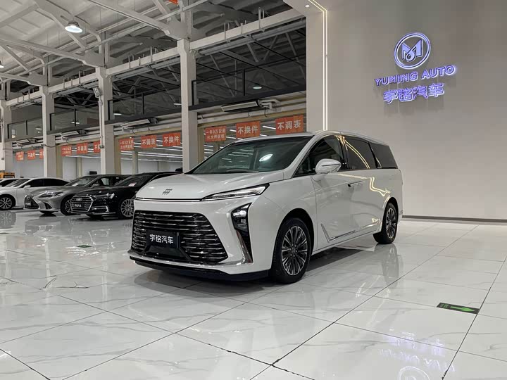 Фото 1 - Buick GL8 ES