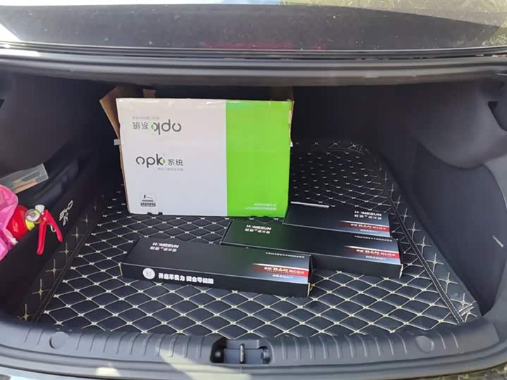 Фото 4 - BYD Han