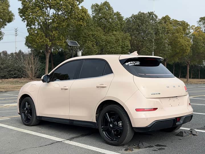 Фото 5 - Ora Good Cat (03)