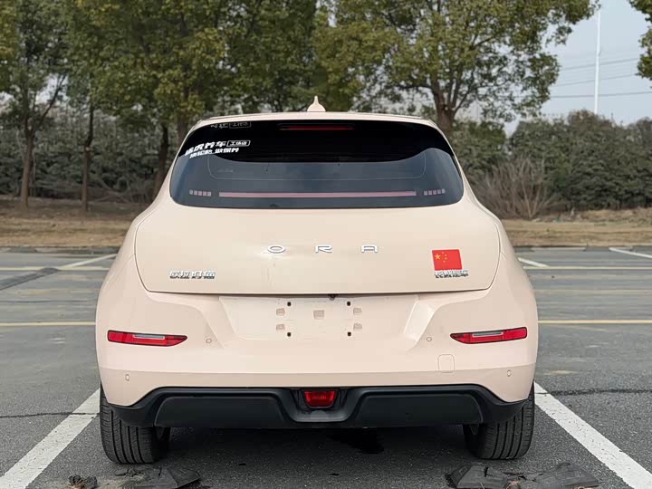 Фото 6 - Ora Good Cat (03)