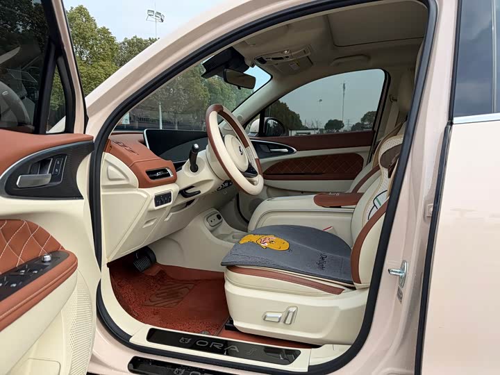 Фото 8 - Ora Good Cat (03)