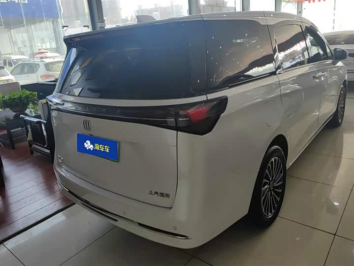 Фото 3 - Buick GL8 ES