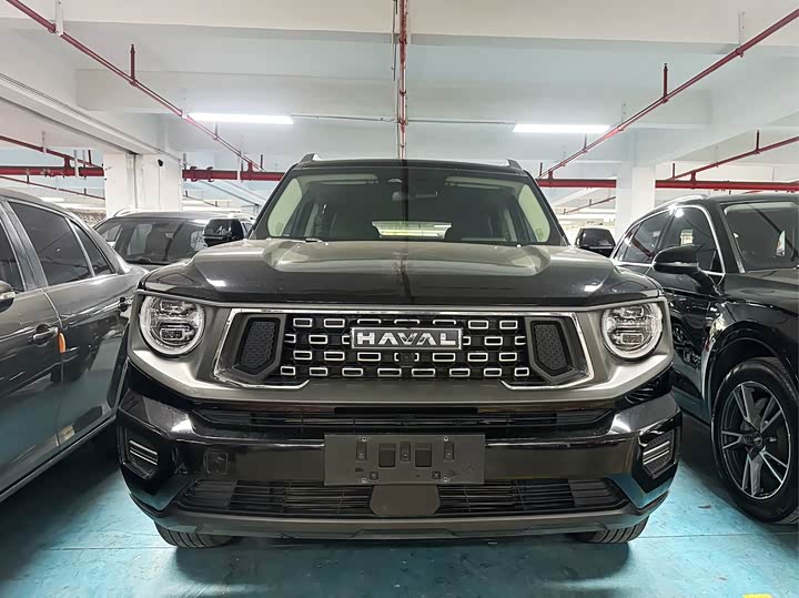 Фото 2 - Haval H-Dog