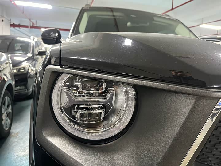 Фото 4 - Haval H-Dog