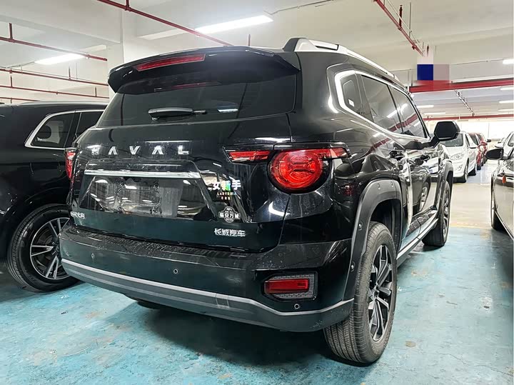 Фото 7 - Haval H-Dog