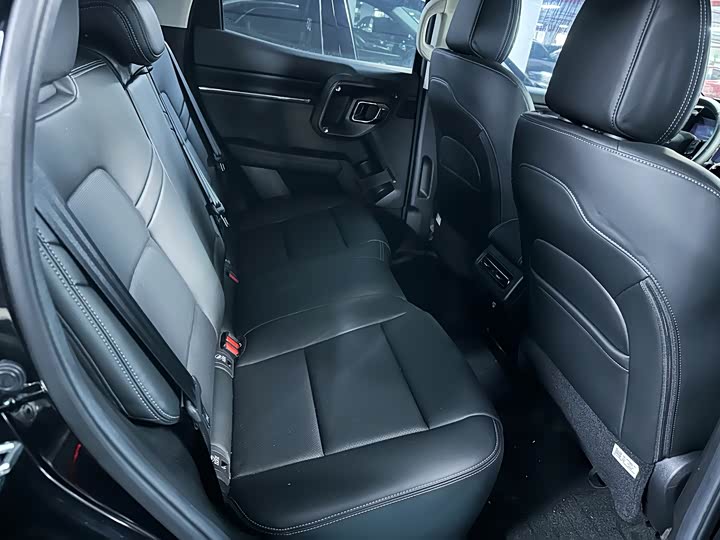 Фото 9 - Haval H-Dog