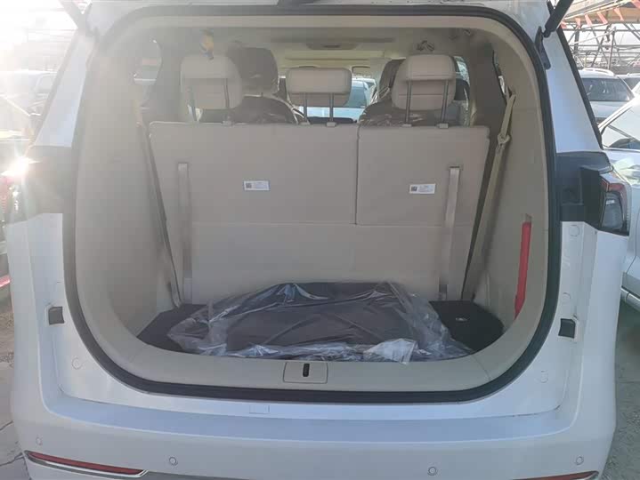 Фото 4 - Buick GL8 ES