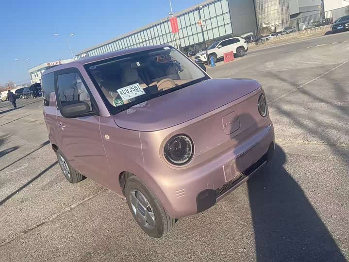 Фото 3 - Geely Galaxy Panda Mini