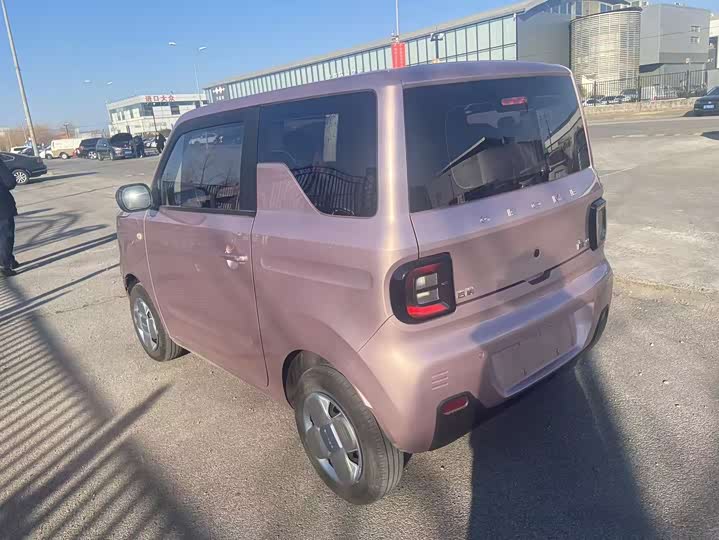 Фото 4 - Geely Galaxy Panda Mini