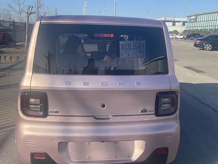 Фото 5 - Geely Galaxy Panda Mini