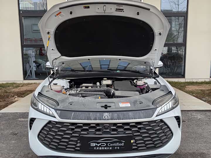 Фото 2 - BYD Qin Plus