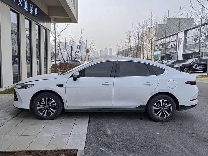 Фото 3 - BYD Qin Plus