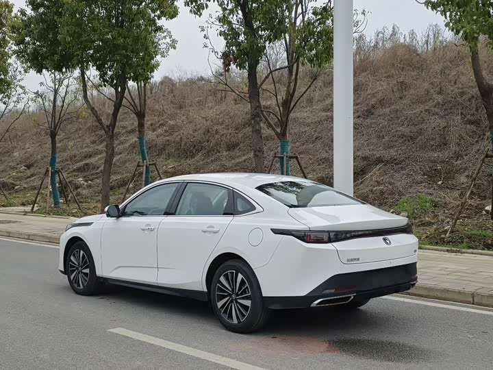 Фото 9 - Changan Eado EV