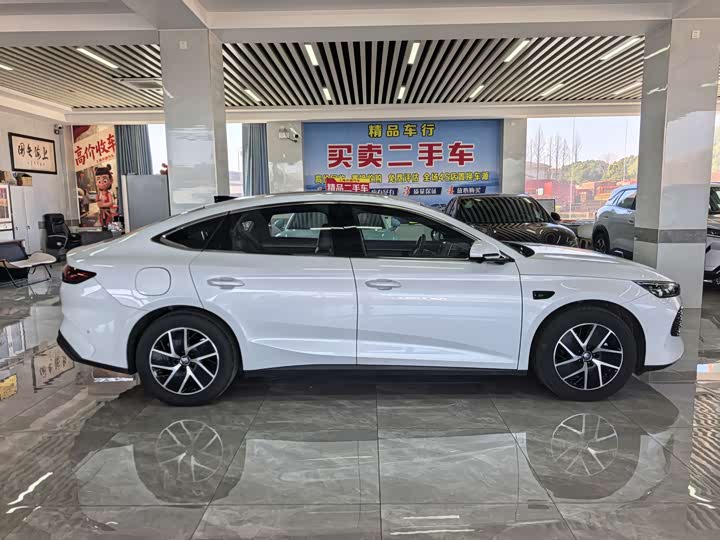 Фото 5 - BYD Qin L