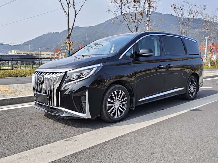 Фото 1 - GAC Trumpchi M8