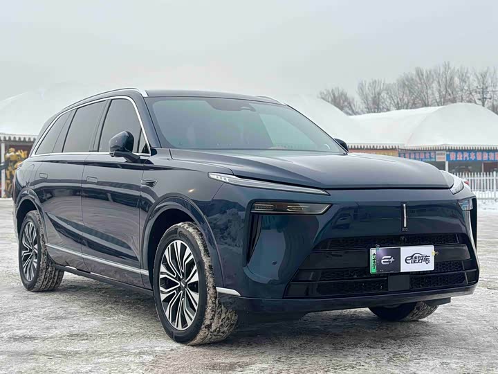 Фото 3 - Wey Lanshan