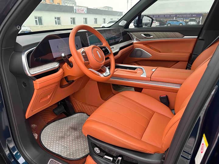 Фото 4 - Wey Lanshan