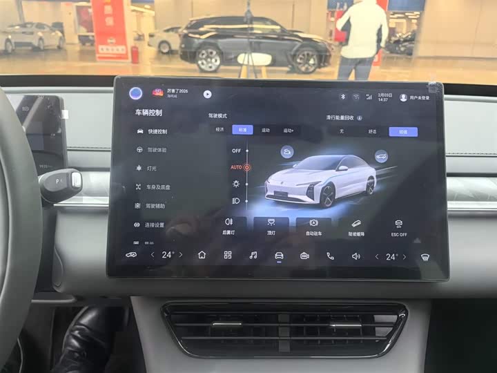 Фото 7 - Dongfeng Forthing Xinghai S7